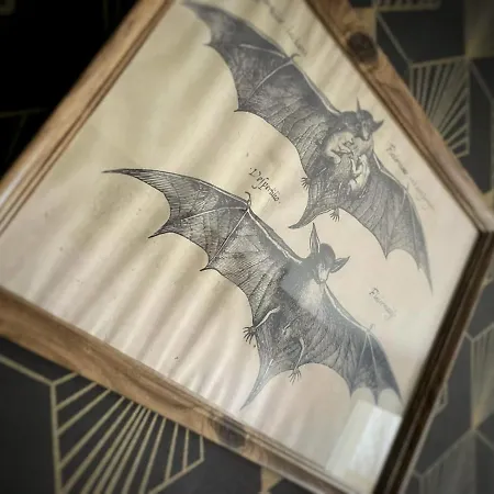 New - Bat'Appart - Dijon - Insolite Longvic Buitenkant foto